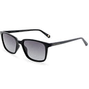 Tb Farley Sunglasses Black
